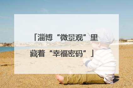 淄博“微景观”里藏着“幸福密码”