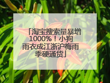 淘宝搜索量暴增1000%！小狗雨衣成江浙沪梅雨季硬通货