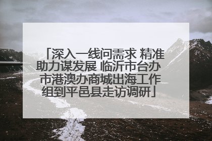 深入一线问需求 精准助力谋发展 临沂市台办 市港澳办商城出海工作组到平邑县走访调研