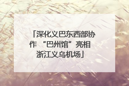 深化义巴东西部协作 “巴州馆”亮相浙江义乌机场