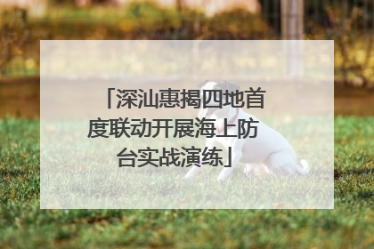 深汕惠揭四地首度联动开展海上防台实战演练