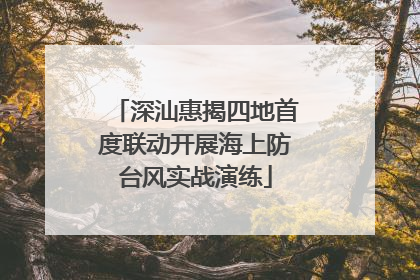 深汕惠揭四地首度联动开展海上防台风实战演练