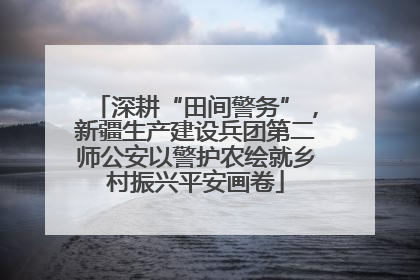 深耕“田间警务”，新疆生产建设兵团第二师公安以警护农绘就乡村振兴平安画卷