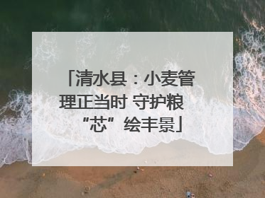 清水县：小麦管理正当时 守护粮“芯”绘丰景