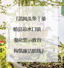 清风头条｜桑植县凉水口镇：强化警示教育 构筑廉洁防线