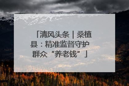 清风头条｜桑植县：精准监督守护群众“养老钱”