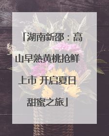 湖南新邵：高山早熟黄桃抢鲜上市 开启夏日甜蜜之旅