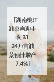 湖南桃江油菜喜迎丰收 31.24万亩油菜预计增产7.4%