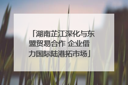 湖南芷江深化与东盟贸易合作 企业借力国际陆港拓市场