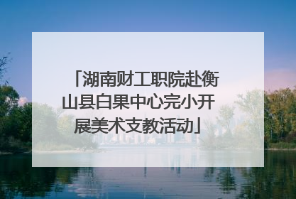 湖南财工职院赴衡山县白果中心完小开展美术支教活动