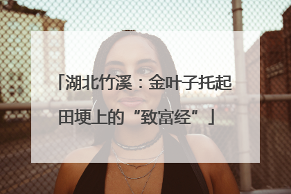 湖北竹溪：金叶子托起田埂上的“致富经”