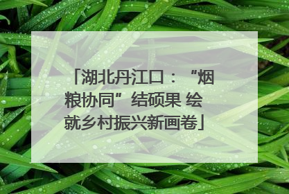 湖北丹江口：“烟粮协同”结硕果 绘就乡村振兴新画卷