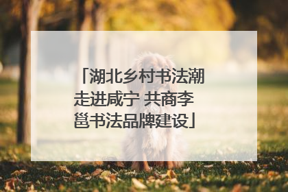 湖北乡村书法潮走进咸宁 共商李邕书法品牌建设