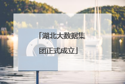 湖北大数据集团正式成立