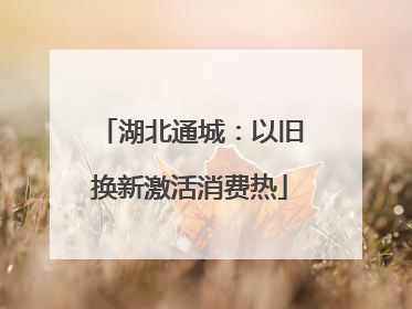 湖北通城：以旧换新激活消费热