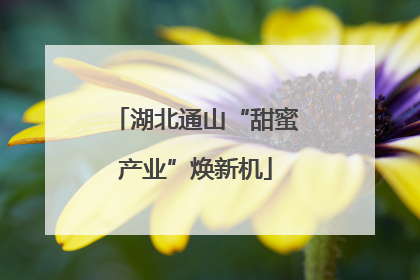 湖北通山“甜蜜产业”焕新机