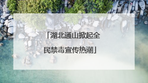 湖北通山掀起全民禁毒宣传热潮