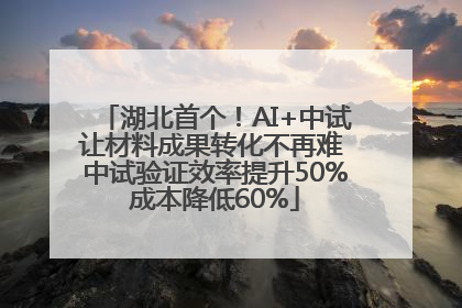 湖北首个！AI+中试让材料成果转化不再难 中试验证效率提升50%成本降低60%