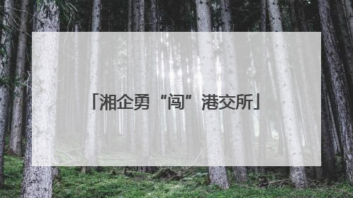 湘企勇“闯”港交所
