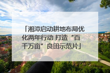 湘潭启动耕地布局优化两年行动 打造“百千万亩”良田示范片