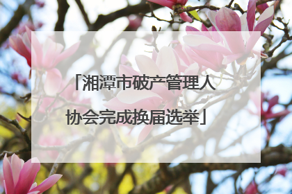 湘潭市破产管理人协会完成换届选举