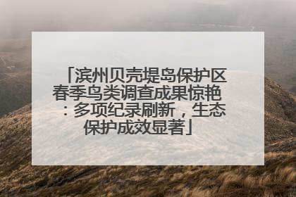 滨州贝壳堤岛保护区春季鸟类调查成果惊艳：多项纪录刷新，生态保护成效显著