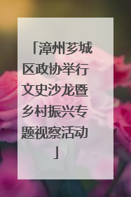 漳州芗城区政协举行文史沙龙暨乡村振兴专题视察活动