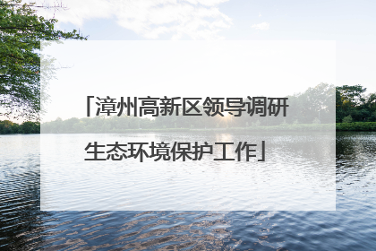 漳州高新区领导调研生态环境保护工作