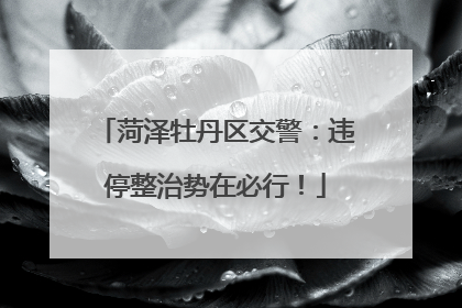 菏泽牡丹区交警：违停整治势在必行！
