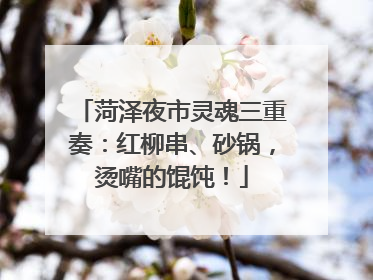 菏泽夜市灵魂三重奏：红柳串、砂锅，烫嘴的馄饨！