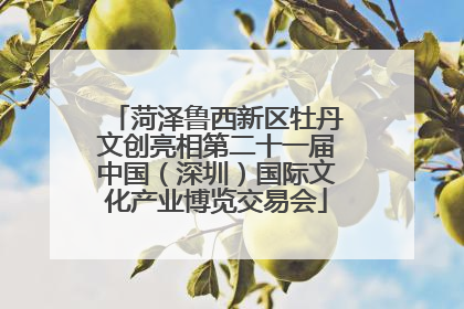 菏泽鲁西新区牡丹文创亮相第二十一届中国（深圳）国际文化产业博览交易会