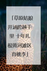 草原姑娘井涵跨越千里 十年扎根黄河滩区育桃李