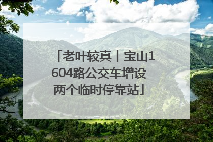 老叶较真丨宝山1604路公交车增设两个临时停靠站