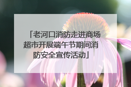 老河口消防走进商场超市开展端午节期间消防安全宣传活动