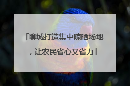 聊城打造集中晾晒场地，让农民省心又省力