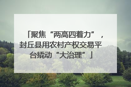 聚焦“两高四着力”，封丘县用农村产权交易平台撬动“大治理”