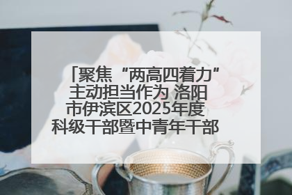聚焦“两高四着力” 主动担当作为 洛阳市伊滨区2025年度科级干部暨中青年干部培训班开班