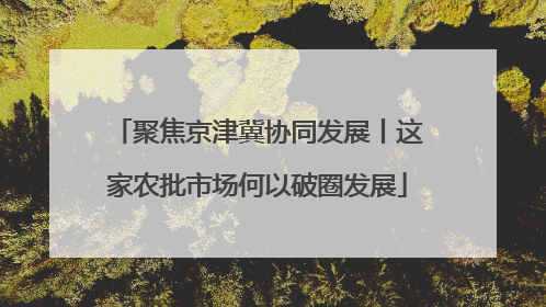 聚焦京津冀协同发展丨这家农批市场何以破圈发展