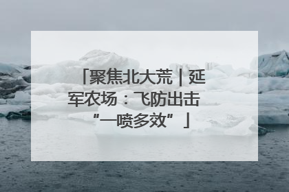 聚焦北大荒｜延军农场：飞防出击 “一喷多效”