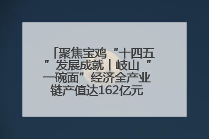 聚焦宝鸡“十四五”发展成就丨岐山“一碗面”经济全产业链产值达162亿元 入选全国典型县