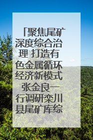聚焦尾矿深度综合治理 打造有色金属循环经济新模式 张金良一行调研栾川县尾矿库综合治理工作