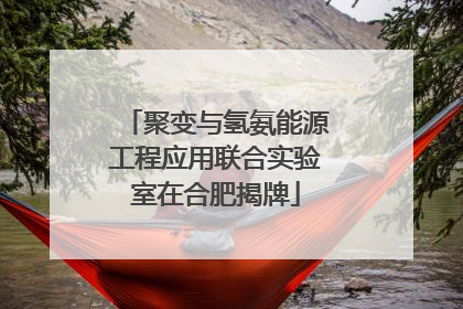 聚变与氢氨能源工程应用联合实验室在合肥揭牌