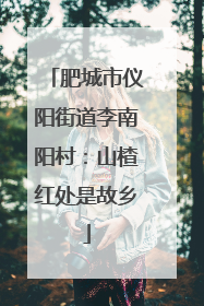 肥城市仪阳街道李南阳村：山楂红处是故乡