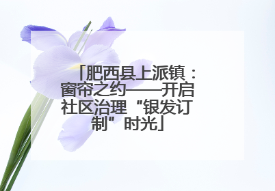 肥西县上派镇：窗帘之约——开启社区治理“银发订制”时光