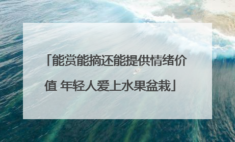 能赏能摘还能提供情绪价值 年轻人爱上水果盆栽