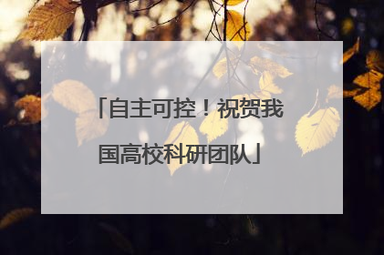自主可控！祝贺我国高校科研团队