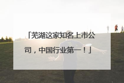 芜湖这家知名上市公司，中国行业第一！