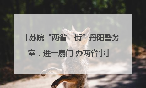 苏皖“两省一街”丹阳警务室：进一扇门 办两省事