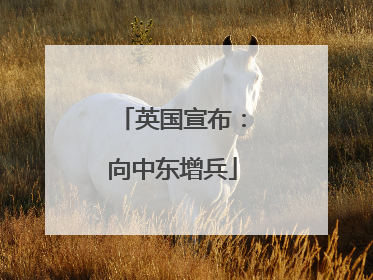 英国宣布：向中东增兵