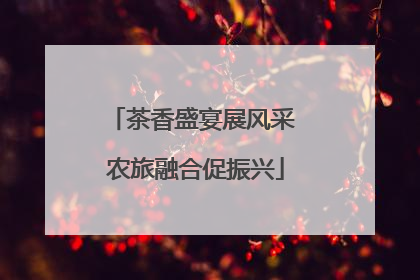 茶香盛宴展风采 农旅融合促振兴